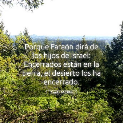 Picture 05 - Éxodo 14:3 RVA - Porque Faraón dirá de los hijos de Israel: - Bible Verse Picture