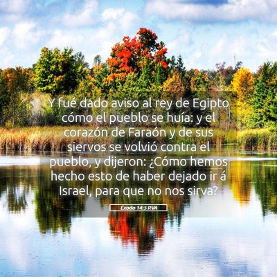 Picture 05 - Éxodo 14:5 RVA - Y fué dado aviso al rey de Egipto cómo el - Bible Verse Picture