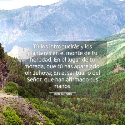 Picture 05 - Éxodo 15:17 RVA - Tú los introducirás y los plantarás en el - Bible Verse Picture