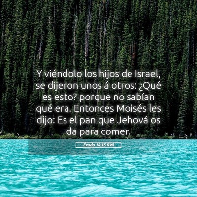 Picture 05 - Éxodo 16:15 RVA - Y viéndolo los hijos de Israel, se dijeron unos - Bible Verse Picture