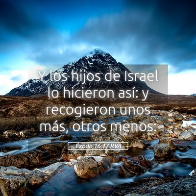Picture 05 - Éxodo 16:17 RVA - Y los hijos de Israel lo hicieron así: y - Bible Verse Picture