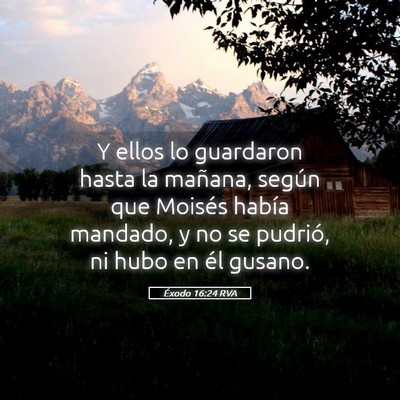 Picture 05 - Éxodo 16:24 RVA - Y ellos lo guardaron hasta la mañana, según que - Bible Verse Picture
