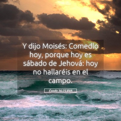 Picture 05 - Éxodo 16:25 RVA - Y dijo Moisés: Comedlo hoy, porque hoy es - Bible Verse Picture