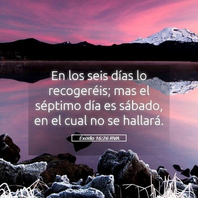 Picture 05 - Éxodo 16:26 RVA - En los seis días lo recogeréis; mas el séptimo - Bible Verse Picture