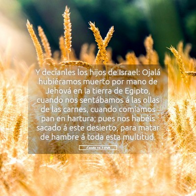 Picture 05 - Éxodo 16:3 RVA - Y decíanles los hijos de Israel: Ojalá - Bible Verse Picture