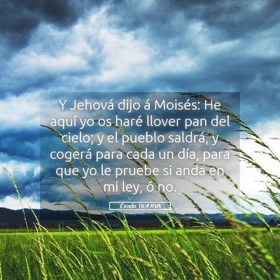 Picture 05 - Éxodo 16:4 RVA - Y Jehová dijo á Moisés: He aquí yo os haré - Bible Verse Picture