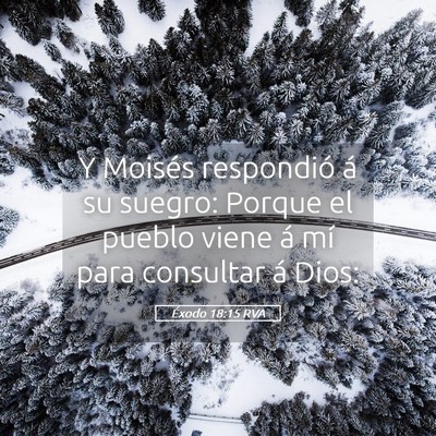 Picture 05 - Éxodo 18:15 RVA - Y Moisés respondió á su suegro: Porque el - Bible Verse Picture