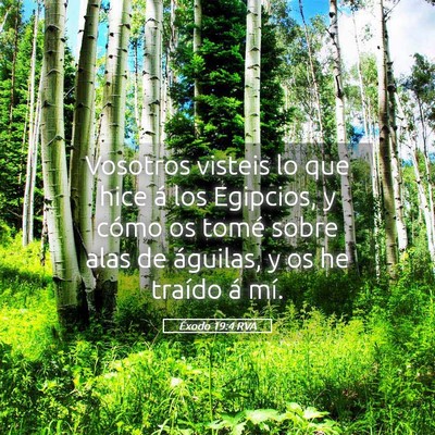 Picture 05 - Éxodo 19:4 RVA - Vosotros visteis lo que hice á los Egipcios, y - Bible Verse Picture