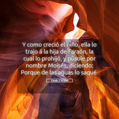 Picture 05 - Éxodo 2:10 RVA - Y como creció el niño, ella lo trajo á la hija - Bible Verse Picture