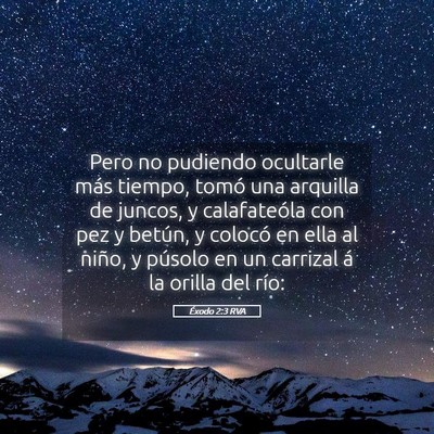 Picture 05 - Éxodo 2:3 RVA - Pero no pudiendo ocultarle más tiempo, tomó una - Bible Verse Picture