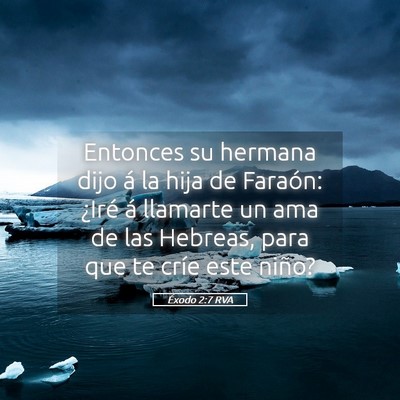 Picture 05 - Éxodo 2:7 RVA - Entonces su hermana dijo á la hija de Faraón: - Bible Verse Picture