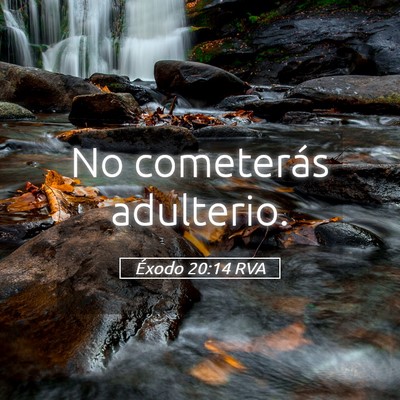 Picture 05 - Éxodo 20:14 RVA - No cometerás - Bible Verse Picture