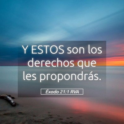 Picture 05 - Éxodo 21:1 RVA - Y ESTOS son los derechos que les - Bible Verse Picture