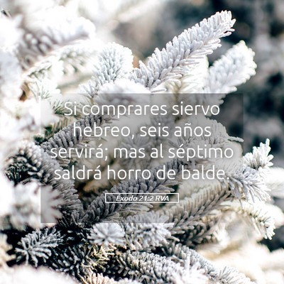 Picture 05 - Éxodo 21:2 RVA - Si comprares siervo hebreo, seis años servirá; - Bible Verse Picture