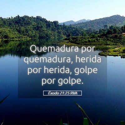 Picture 05 - Éxodo 21:25 RVA - Quemadura por quemadura, herida por herida, golpe - Bible Verse Picture