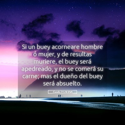 Picture 05 - Éxodo 21:28 RVA - Si un buey acorneare hombre ó mujer, y de - Bible Verse Picture