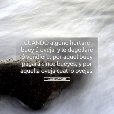 Picture 05 - Éxodo 22:1 RVA - CUANDO alguno hurtare buey ú oveja, y le - Bible Verse Picture