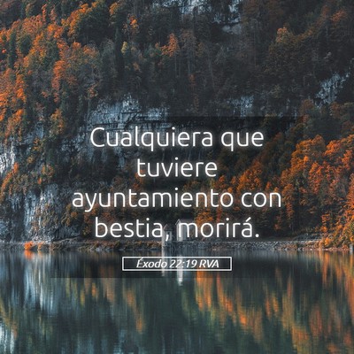Picture 05 - Éxodo 22:19 RVA - Cualquiera que tuviere ayuntamiento con bestia, - Bible Verse Picture