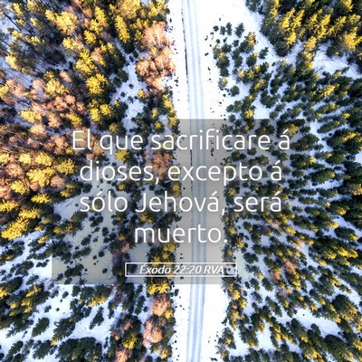 Picture 05 - Éxodo 22:20 RVA - El que sacrificare á dioses, excepto á sólo - Bible Verse Picture