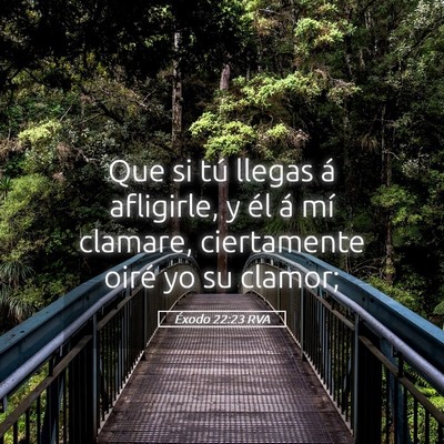 Picture 05 - Éxodo 22:23 RVA - Que si tú llegas á afligirle, y él á mí - Bible Verse Picture