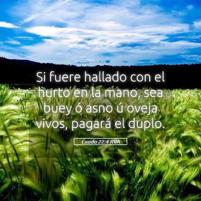 Picture 05 - Éxodo 22:4 RVA - Si fuere hallado con el hurto en la mano, sea - Bible Verse Picture