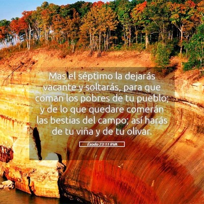 Picture 05 - Éxodo 23:11 RVA - Mas el séptimo la dejarás vacante y soltarás, - Bible Verse Picture