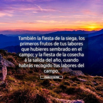 Picture 05 - Éxodo 23:16 RVA - También la fiesta de la siega, los primeros - Bible Verse Picture