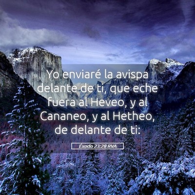 Picture 05 - Éxodo 23:28 RVA - Yo enviaré la avispa delante de ti, que eche - Bible Verse Picture