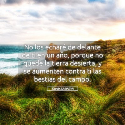 Picture 05 - Éxodo 23:29 RVA - No los echaré de delante de ti en un año, - Bible Verse Picture