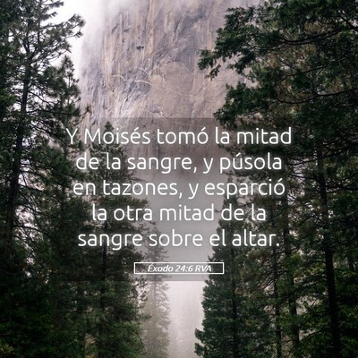 Picture 05 - Éxodo 24:6 RVA - Y Moisés tomó la mitad de la sangre, y púsola - Bible Verse Picture