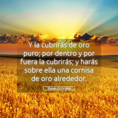 Picture 05 - Éxodo 25:11 RVA - Y la cubrirás de oro puro; por dentro y por - Bible Verse Picture