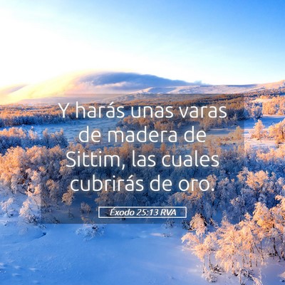 Picture 05 - Éxodo 25:13 RVA - Y harás unas varas de madera de Sittim, las - Bible Verse Picture
