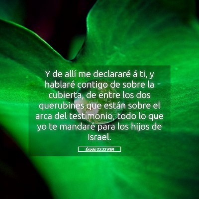 Picture 05 - Éxodo 25:22 RVA - Y de allí me declararé á ti, y hablaré - Bible Verse Picture