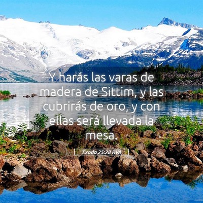 Picture 05 - Éxodo 25:28 RVA - Y harás las varas de madera de Sittim, y las - Bible Verse Picture