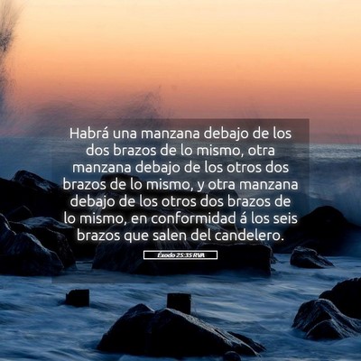 Picture 05 - Éxodo 25:35 RVA - Habrá una manzana debajo de los dos brazos de lo - Bible Verse Picture