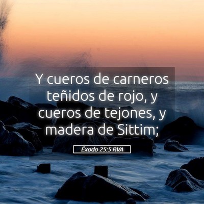 Picture 05 - Éxodo 25:5 RVA - Y cueros de carneros teñidos de rojo, y cueros - Bible Verse Picture