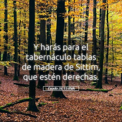 Picture 05 - Éxodo 26:15 RVA - Y harás para el tabernáculo tablas de madera de - Bible Verse Picture