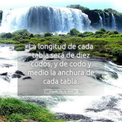 Picture 05 - Éxodo 26:16 RVA - La longitud de cada tabla será de diez codos, y - Bible Verse Picture