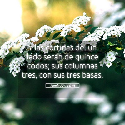 Picture 05 - Éxodo 27:14 RVA - Y las cortinas del un lado serán de quince - Bible Verse Picture