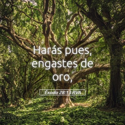 Picture 05 - Éxodo 28:13 RVA - Harás pues, engastes de - Bible Verse Picture