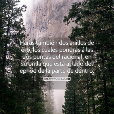 Picture 05 - Éxodo 28:26 RVA - Harás también dos anillos de oro, los cuales - Bible Verse Picture