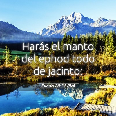 Picture 05 - Éxodo 28:31 RVA - Harás el manto del ephod todo de - Bible Verse Picture