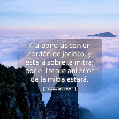 Picture 05 - Éxodo 28:37 RVA - Y la pondrás con un cordón de jacinto, y - Bible Verse Picture