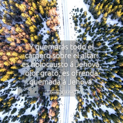 Picture 05 - Éxodo 29:18 RVA - Y quemarás todo el carnero sobre el altar: es - Bible Verse Picture