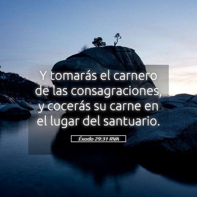 Picture 05 - Éxodo 29:31 RVA - Y tomarás el carnero de las consagraciones, y - Bible Verse Picture