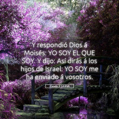 Picture 05 - Éxodo 3:14 RVA - Y respondió Dios á Moisés: YO SOY EL QUE SOY. - Bible Verse Picture