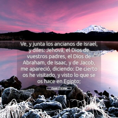 Picture 05 - Éxodo 3:16 RVA - Ve, y junta los ancianos de Israel, y diles: - Bible Verse Picture
