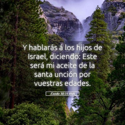 Picture 05 - Éxodo 30:31 RVA - Y hablarás á los hijos de Israel, diciendo: - Bible Verse Picture
