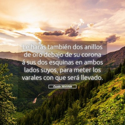 Picture 05 - Éxodo 30:4 RVA - Le harás también dos anillos de oro debajo de - Bible Verse Picture