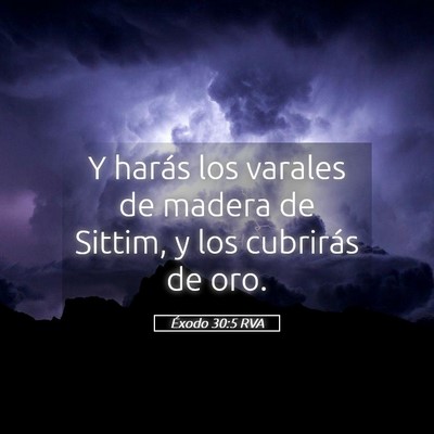 Picture 05 - Éxodo 30:5 RVA - Y harás los varales de madera de Sittim, y los - Bible Verse Picture